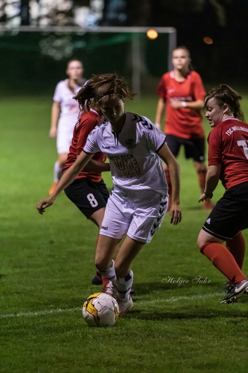 Bild 190 - Frauen SV Henstedt Ulzburg - Wellingsbuettel : Ergebnis: 11:1